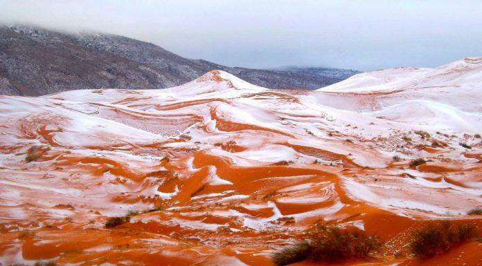 Global Warming: Sahara Bedekt Met Sneeuw Sinds 37 Jaar